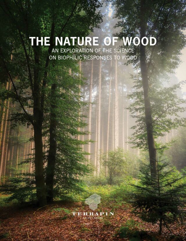 The Nature of Wood