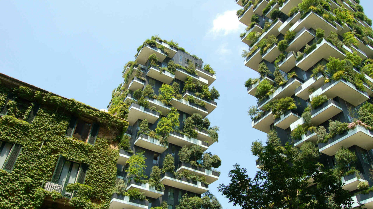 Biophilic Cities conference will promote best practice in biophilic design