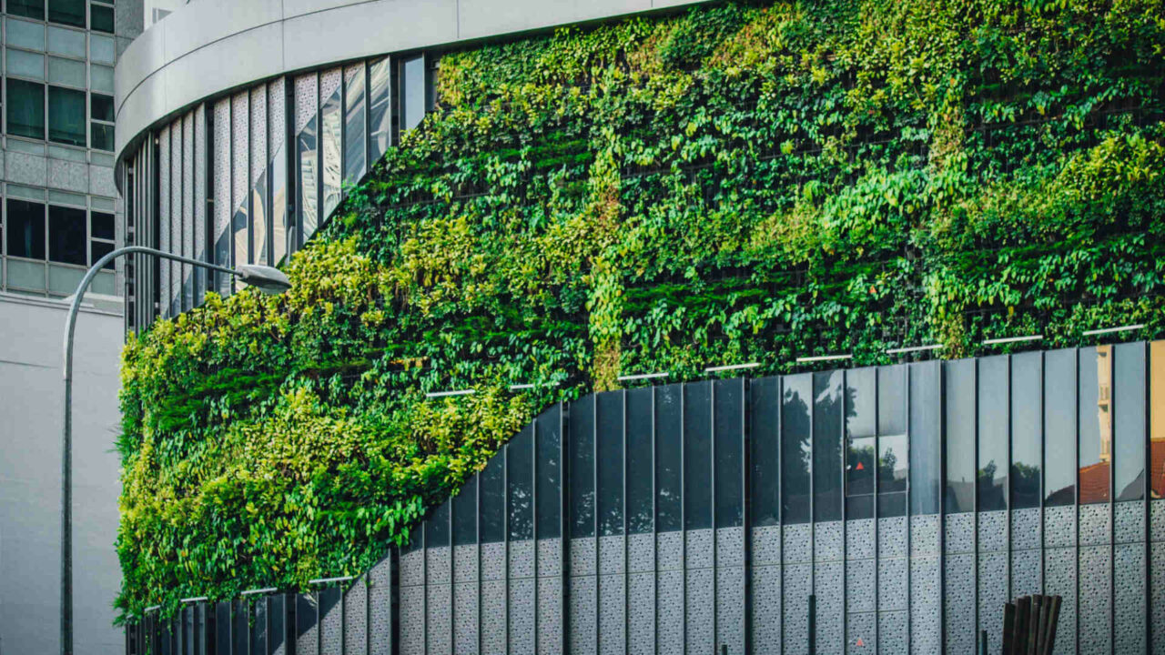 New biophilic design guide connects wellbeing & nature 