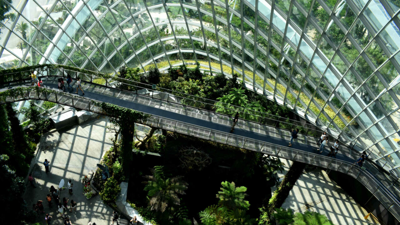 Event: Using nature-inspired design and technology to enhance workplace wellness