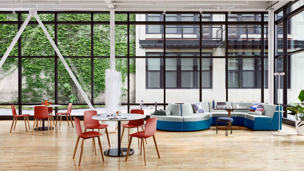 Hanging foliage, relaxation hubs and dynamic spaces are set to be big in the year ahead according to office trends report by Ambius.