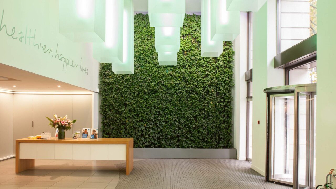 Plant displays & greenspaces: how greenery provides the foundation for a healthy business