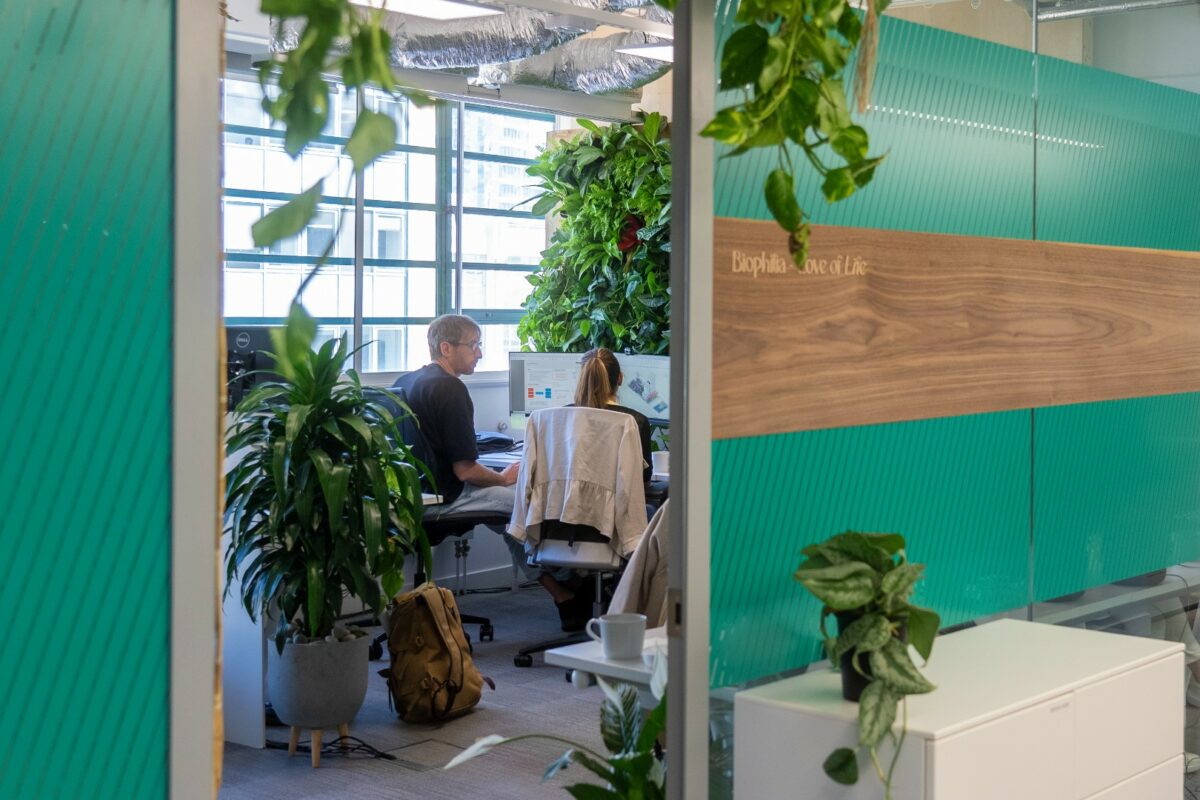 New report makes the business case for biophilic design in offices