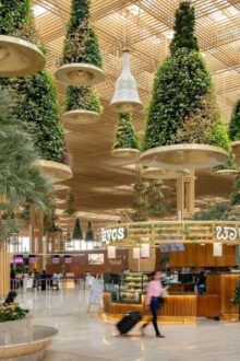 Nature in flight: Can biophilic design help to take the stress out of airport travel?